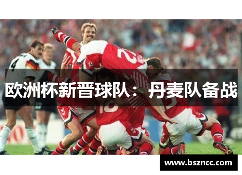 欧洲杯新晋球队：丹麦队备战