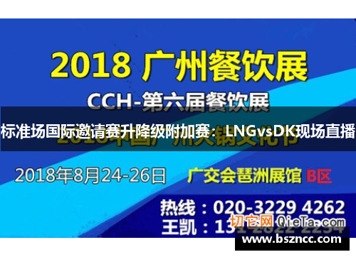 标准场国际邀请赛升降级附加赛：LNGvsDK现场直播